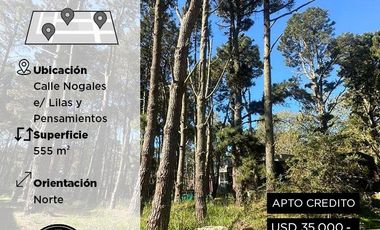 Terreno en Costa del Este - Los Nogales e/ Las Lilas y Pensamientos