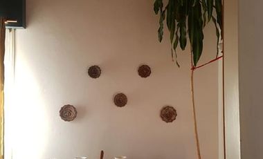 Oportunidad para 2 Familias – 2 Casas en Block con Jardín y Pileta