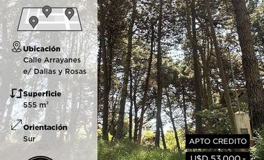 Terreno a la venta en Costa del Este - Calle Arrayanes e/ Las Dalias y Las Rosas - Rhode Propiedades