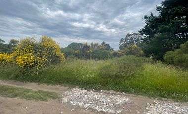 Lote / Terreno calle 47 entre 94 y 96 - Mar del Sur