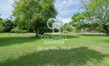 Quinta sobre gran terreno arbolado