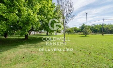 Quinta sobre gran terreno arbolado