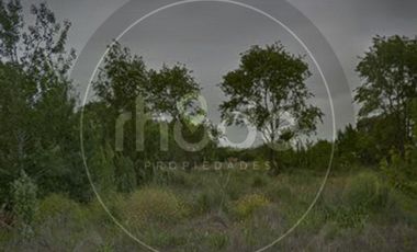 Av. 3 entre Malvones y Madreselvas - Excelente lote en Costa del Este