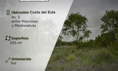Av. 3 entre Malvones y Madreselvas - Excelente lote en Costa del Este