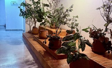 Renta departamento amueblado para oficinas y/o uso habitacional