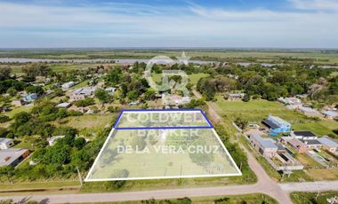 Gran terreno arbolado