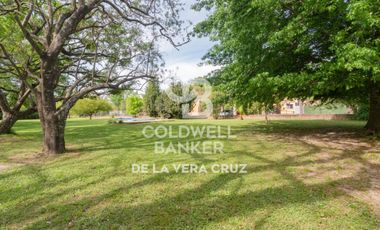 Gran terreno arbolado