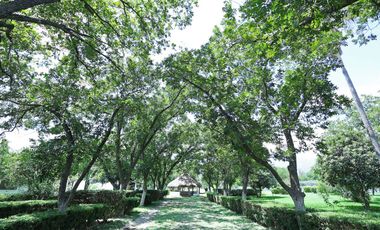 Terreno / Quinta, Los Rodriguez, Santiago, Nuevo León