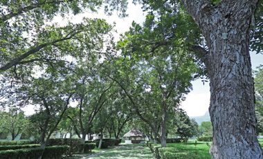 Terreno / Quinta, Los Rodriguez, Santiago, Nuevo León