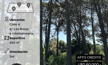 Terreno a la venta en Costa del Este - Calle 4 e/ Las Rosas e Interbalnearia - Rhode Propiedades