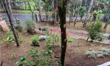 SE VENDE CASA EN ALTOS DE CERRO AZUL URB EL CASTILLO CON TERRAZA