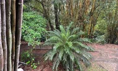SE VENDE CASA EN ALTOS DE CERRO AZUL URB EL CASTILLO CON TERRAZA