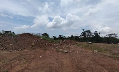 Se Vende Finca de 10 has comercial en Autopista La Chorrera (DR)