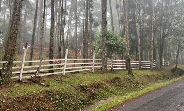 ALTOS DE CERRO AZUL / EL CASTILLO / 1962M / 2 NIVELES / 4 HABITACION