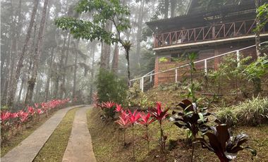 ALTOS DE CERRO AZUL / EL CASTILLO / 1962M / 2 NIVELES / 4 HABITACION
