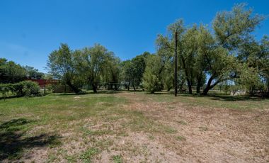 Viví la paz del río: quinta única con 2 viviendas