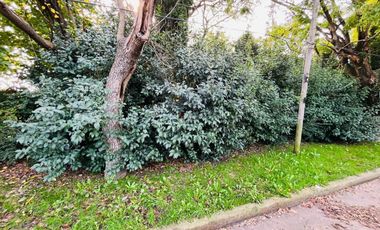 LOTE EN VENTA 326 MTS BURZACO MUY BIEN UBICADO