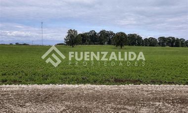 Parcela en Venta en Camino Michidamas km 38,5 aprox.