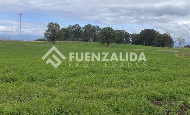 Parcela en Venta en Camino Michidamas km 38,5 aprox.