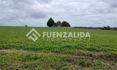 Parcela en Venta en Camino Michidamas km 38,5 aprox.