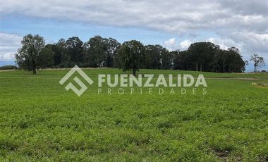 Parcela en Venta en Camino Michidamas km 38,5 aprox.