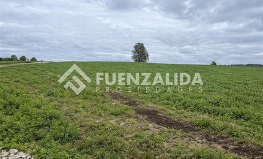 Parcela en Venta en Camino Michidamas km 38,5 aprox.