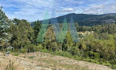 Parcela en Venta en Sector Tomén