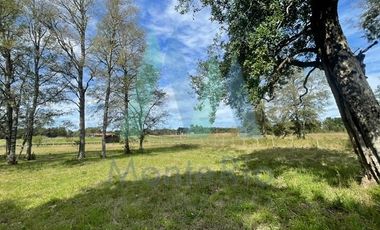 Casa en Venta en Sector Tomén