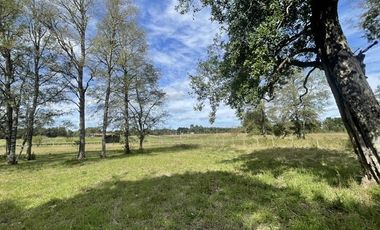 Casa en Venta en Sector Tomén