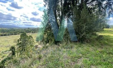 Casa en Venta en Sector Tomén