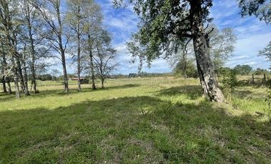 Casa en Venta en Sector Tomén