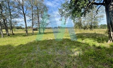 Casa en Venta en Sector Tomén