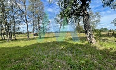 Casa en Venta en Sector Tomén