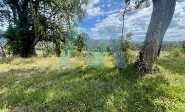 Casa en Venta en Sector Tomén