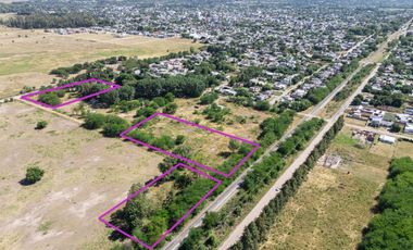 LOTEO CAMINO PANELO - VENTA DE TERRENO EN CAÑUELAS