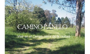 LOTEO CAMINO PANELO - VENTA DE TERRENO EN CAÑUELAS