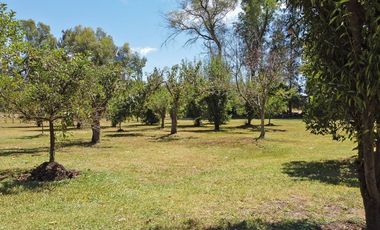 VENTA LOTE IDEAL EMPRENDIMIENTO 44.100M2 EXALTACIO
