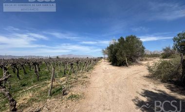 Finca La Falda