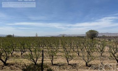 Finca La Falda
