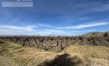 Finca La Falda