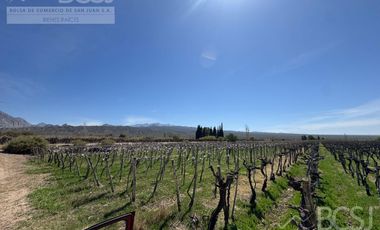Finca La Falda