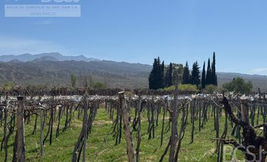 Finca La Falda