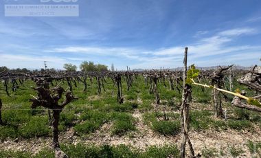Finca La Falda