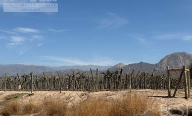 Finca La Falda