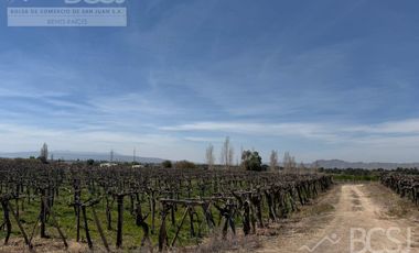 Finca La Falda