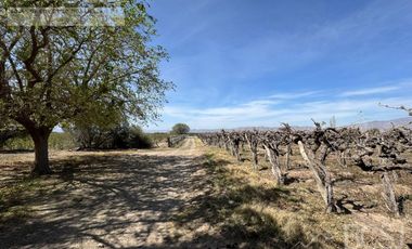 Finca La Falda