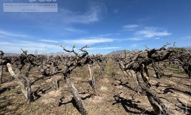 Finca La Falda
