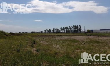 Venta Nave Industrial - Parque Industrial Región Central Argentina (PIRCA) - Alvear