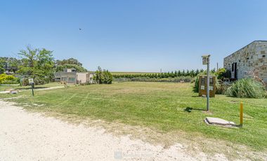 Venta - Lote 42 - Barrio Privado Barrancas de San Benito