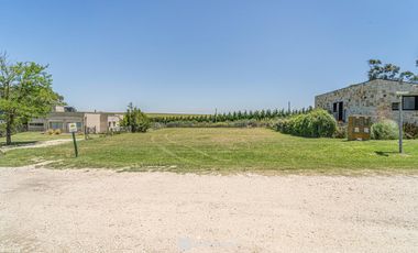 Venta - Lote 42 - Barrio Privado Barrancas de San Benito